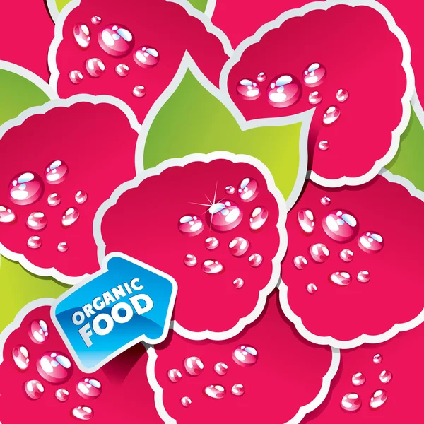 Background from raspberry with an arrow by organic food — Stockový vektor