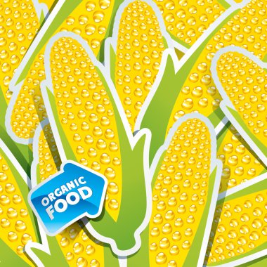 Background from corn cobs with an arrow by organic food. clipart
