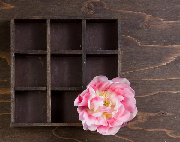 Tulipán o rosa en una caja de impresoras — Foto de Stock