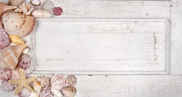 Muscheln an einer alten Tür — Stockfoto