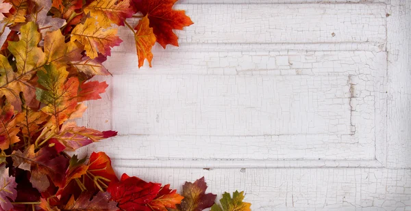 Hojas de otoño en una puerta con paneles vintage —  Fotos de Stock