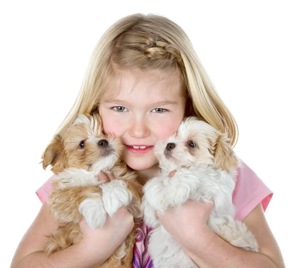 Dziewczyna trzyma dwa szczeniaki — Zdjęcie stockowe