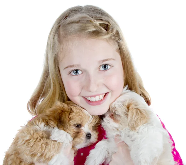 Smiling girl hugging puppies — Stock Photo, Image