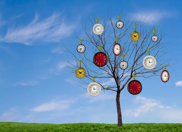Horloges suspendues à un arbre — Photo