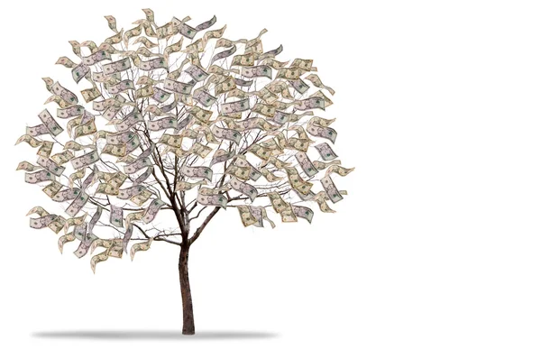 Árvore de dinheiro no fundo branco — Fotografia de Stock