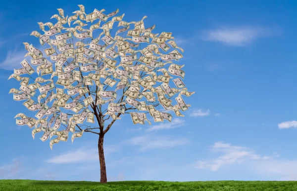 Δέντρο χρήματα στο γαλάζιο του ουρανού, και χορτώδους πεδίο — Φωτογραφία Αρχείου