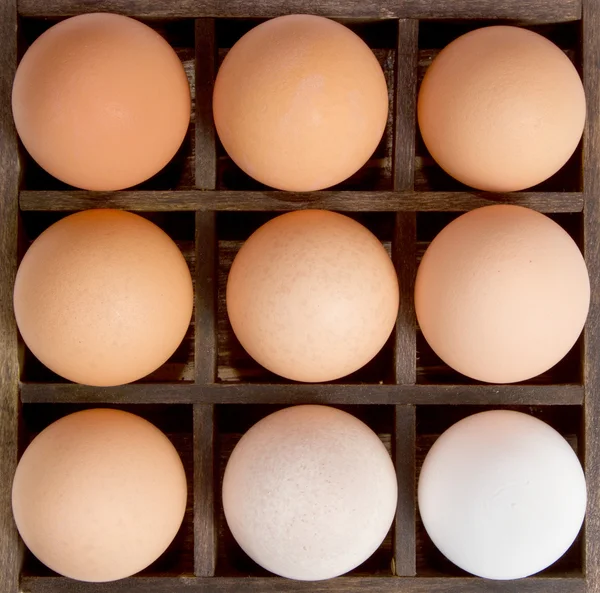 Διαφορετικές αποχρώσεις των αυγών σε ένα συρτάρι εκτυπωτές, πολυμορφία. — Φωτογραφία Αρχείου