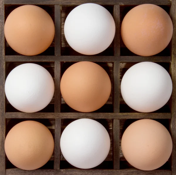 Ποικιλομορφία αυγά, λευκό και καφέ σε ένα συρτάρι εκτυπωτές — Φωτογραφία Αρχείου