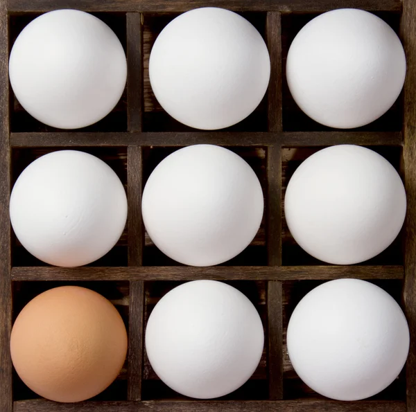 多様性卵、プリンターに引き出しの中に白と茶色の卵 — ストック写真