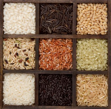 Rice nine varieties in a printers box clipart