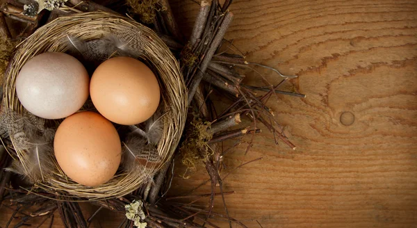 茶色の卵、木材の背景と巣の中で — ストック写真