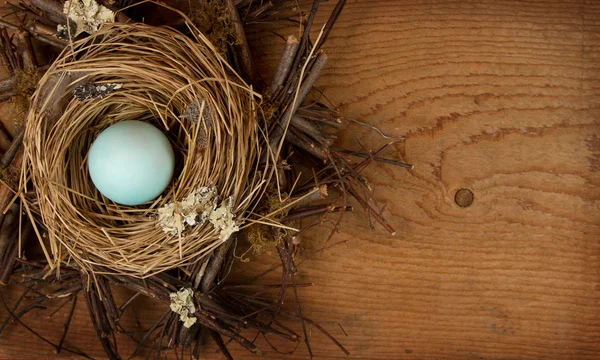 Одиночне блакитне яйце в гнізді, з дерев'яним фоном — стокове фото