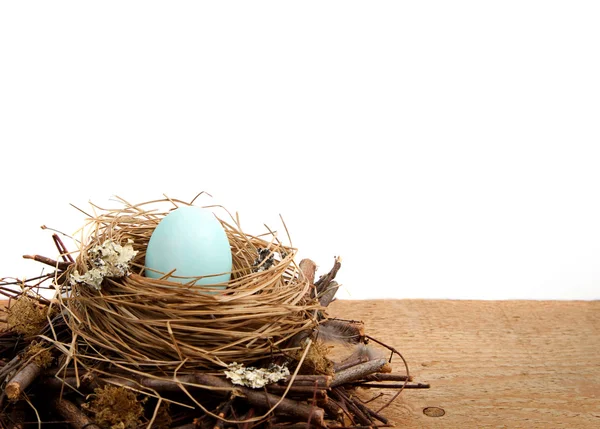 Único ovo de Páscoa azul em um ninho, com um fundo branco — Fotografia de Stock