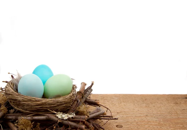 Пасхальные яйца в гнезде на белом фоне — стоковое фото