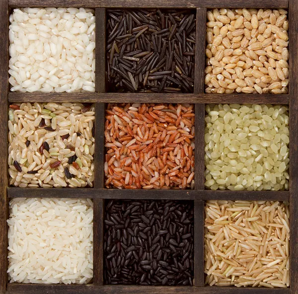 Rice nine varieties in a printers box — Stock Photo, Image