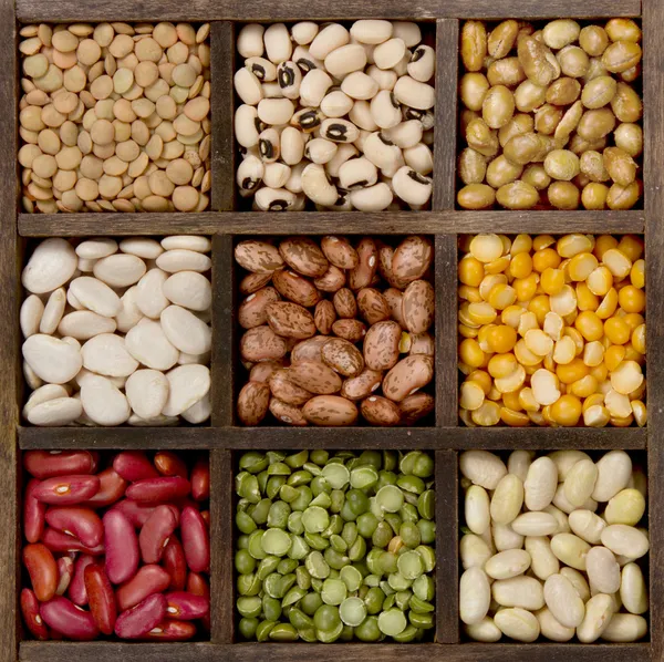 Bean background nine varieties in a printers box — Stock Photo, Image