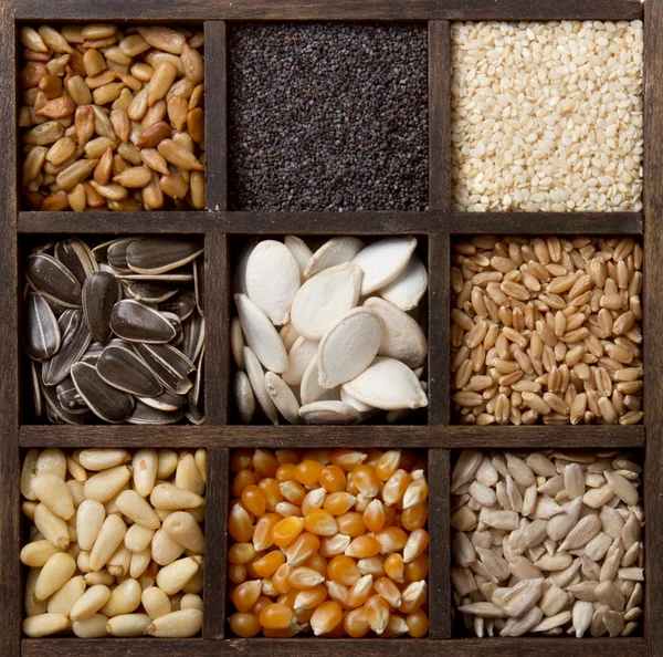 Rozmanité jedlá semena v krabici — Stock fotografie