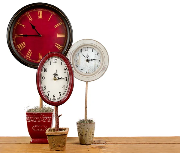 Clocks on a topiary — Stock Photo, Image