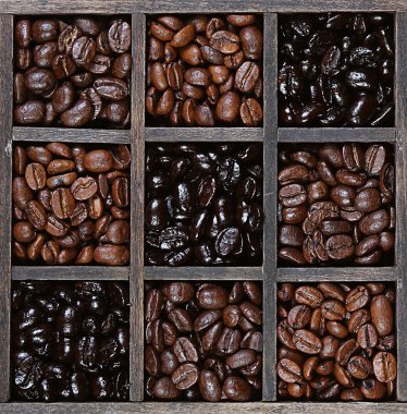 Coffee beans light to dark roast clipart