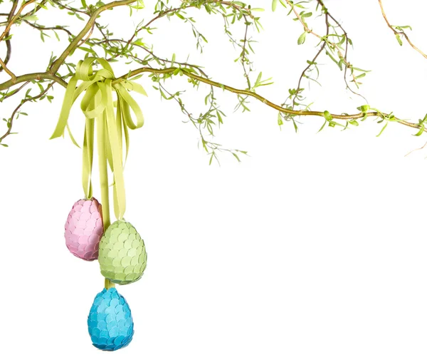 Easter eggs hanging from a branch — Stock Photo, Image