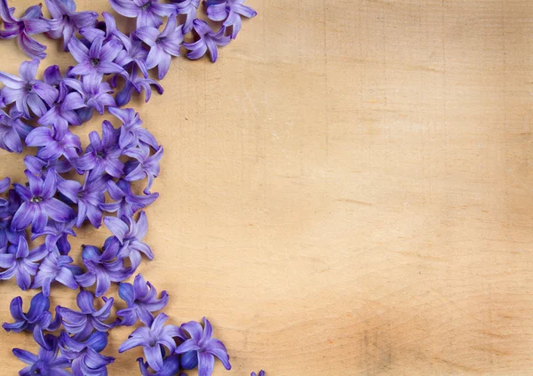 Hyacint květy na dřevěné pozadí — Stock fotografie