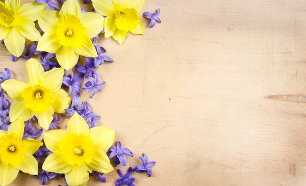 Hyacinth and daffodil on a wooden background — Stock Photo, Image