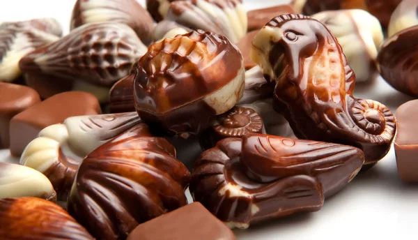 Caramelos de concha marina —  Fotos de Stock