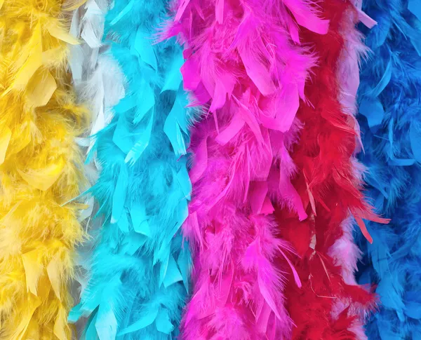 다 색된 깃털 boas — 스톡 사진