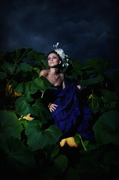 Nocturnal scene - pretty cinderella sitting in pile heap of ripe pumpkins — Stock Photo, Image