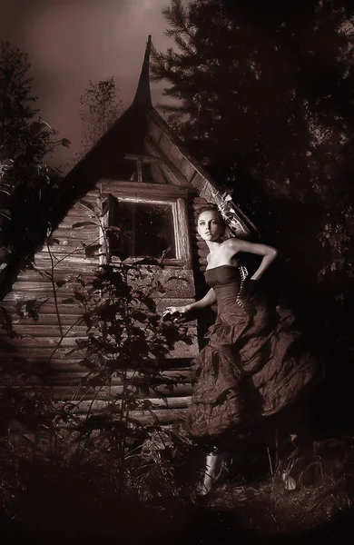 夜如诗如画风光-沿着木制小屋走可爱童话 — 图库照片