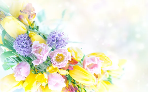 Hermosas flores de primavera marco de naturaleza — Foto de Stock