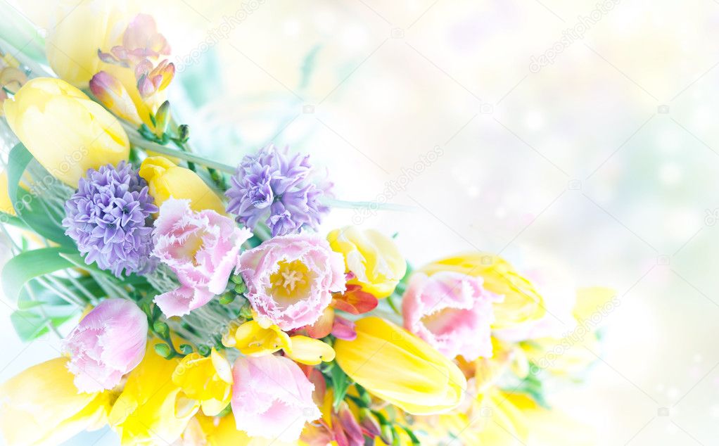 Beautiful spring flowers nature frame