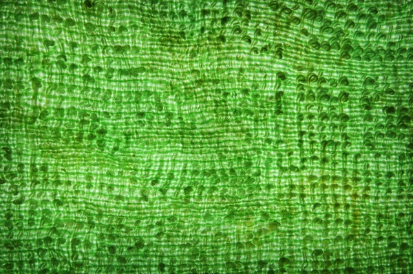 Knitting fabric green texture — Stock Photo, Image