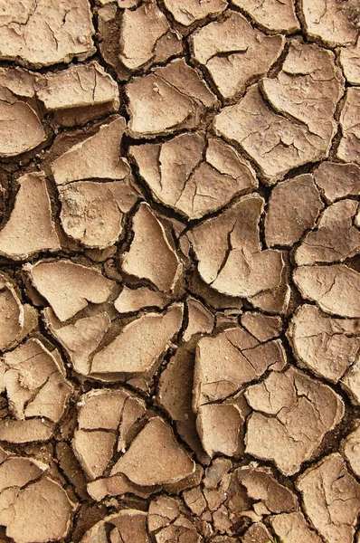 stock image Drought soil