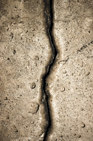 시멘트에 균열 — 스톡 사진