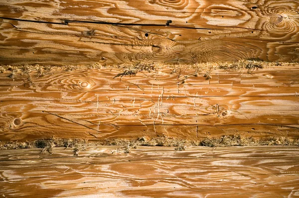 Weathered logs wall — Stock Photo, Image