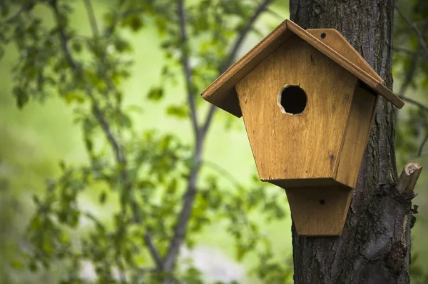 stock image Birdhouse in the spring forest ; natural background