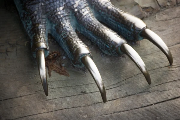 Метал дракона нігті Стокове Фото