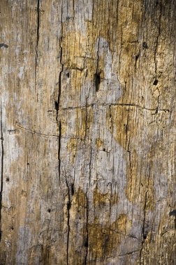 kırık tahta yüzey yıpranmış