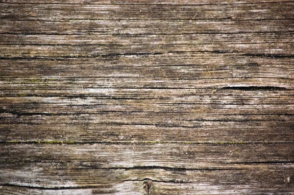 Раскол веретена — стоковое фото