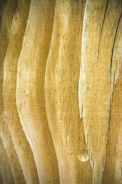 Φθαρμένα ξύλινη επιφάνεια — Φωτογραφία Αρχείου