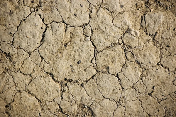 Draugh soil — Stock Photo, Image