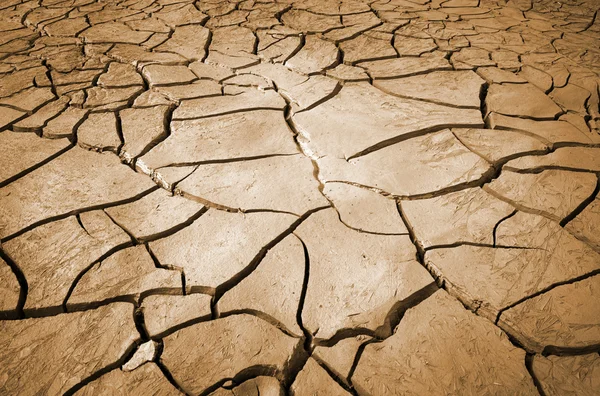 Drought soil — Stock Photo, Image