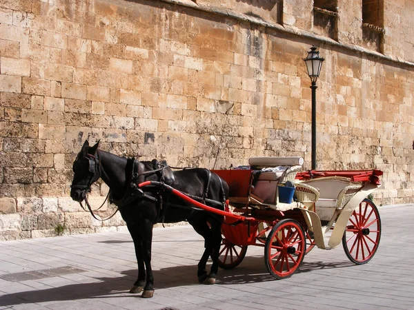 stock image Carriage