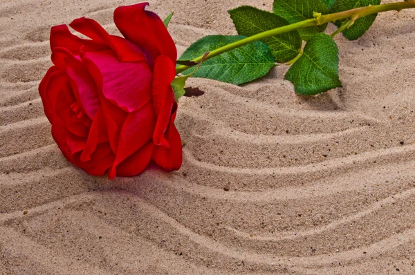 stock image Lost love on a beach