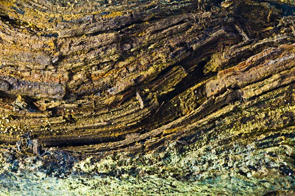 Madeira de deriva velha — Fotografia de Stock