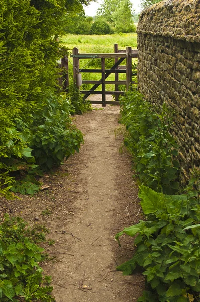 Country path — Stock Photo, Image