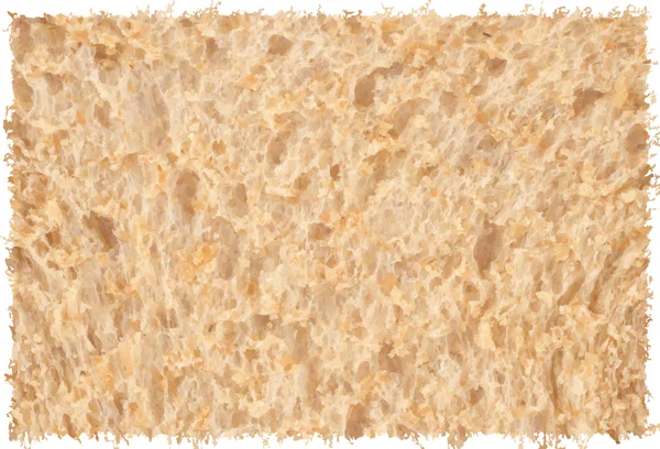 Texturas abstratas de pão manchado para uso como fundo — Vetor de Stock