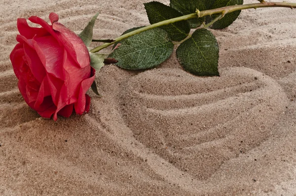 stock image Love on the beach