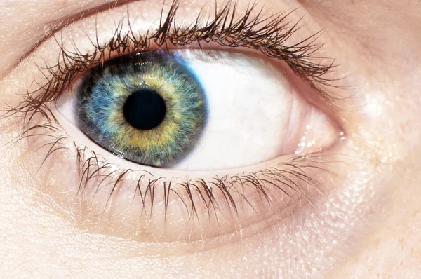 stock image Blue eye